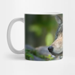 Gray Wolf Mug